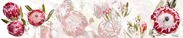 protea-table-runner-001
